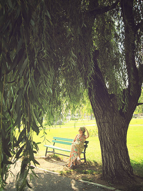 istock Pregnant woman sitting under the willow tree 520832346