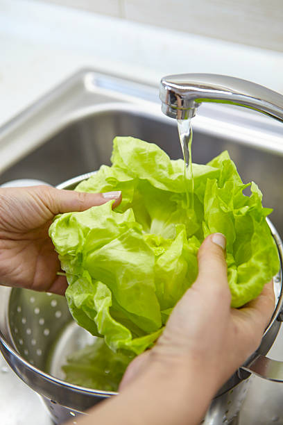 istock Woman washing some fresh green salad 520833576