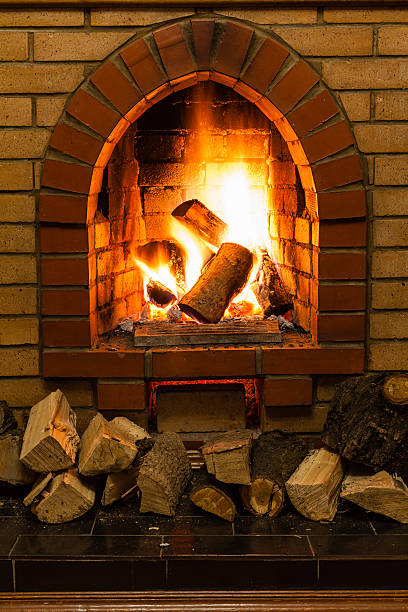 istock wood and fire in fireplace 520834532