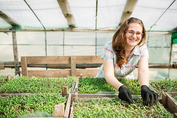 istock girl, greenhouse, seedlings, seedling vegetables 520834704