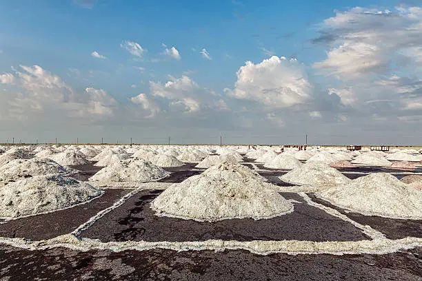 Salt mine at Sambhar Lake in daytime. Sambhar, Rajasthan, India