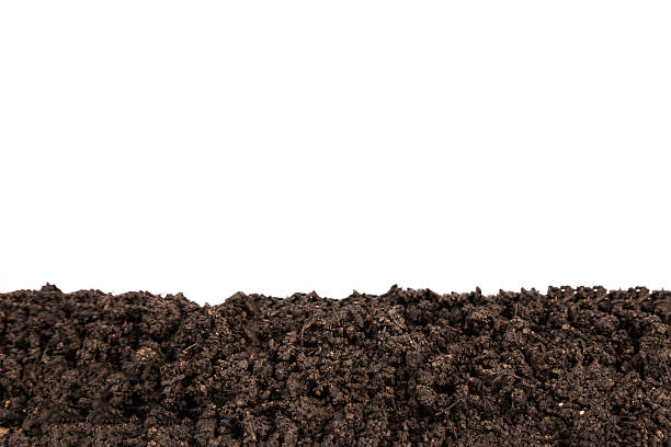 Dirt Border isolated on white background Dirt Border isolated on white background topsoil stock pictures, royalty-free photos & images