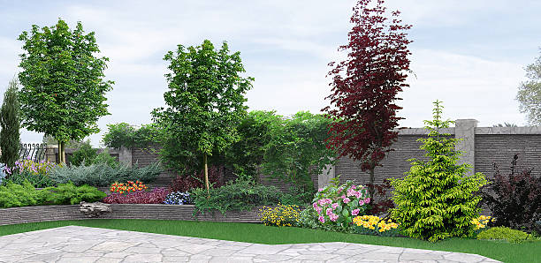 Side yard planting of greenery, 3d rendering Natural character of the site into the design. Well-thought landscape planning. cotoneaster stock pictures, royalty-free photos & images