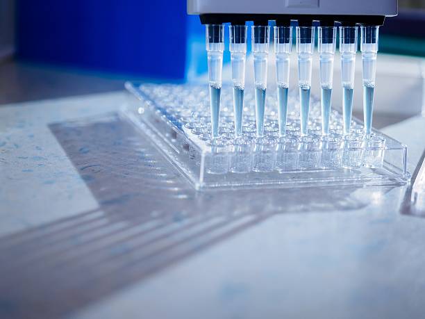 istock Microbiological Multichannel Pipette with 96-well plate 520837272