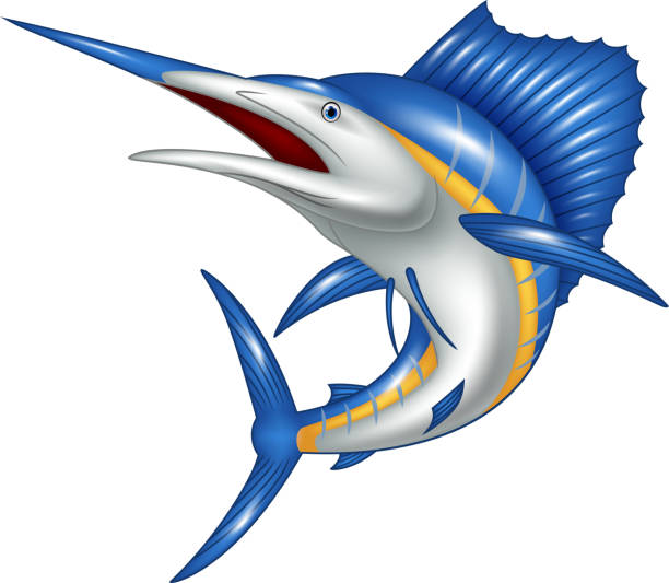 illustrazioni stock, clip art, cartoni animati e icone di tendenza di fumetto illustrazione di marlin blu pesce fumetto - animal large cartoon fish