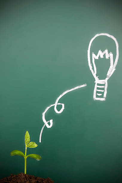 istock new life and Idea Light Bulb on Blackboard 520838704