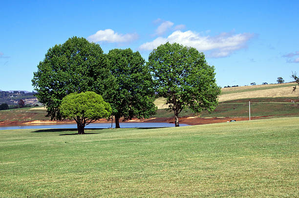 area picnic sulla riva di midmar dam - midmar foto e immagini stock