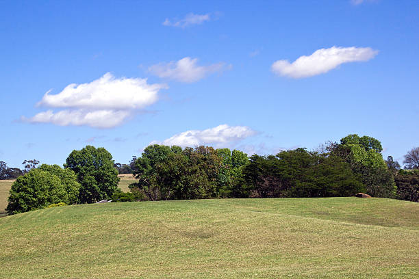 istock Rolling Grassy Area on Banks of Midmar Dam 520838777