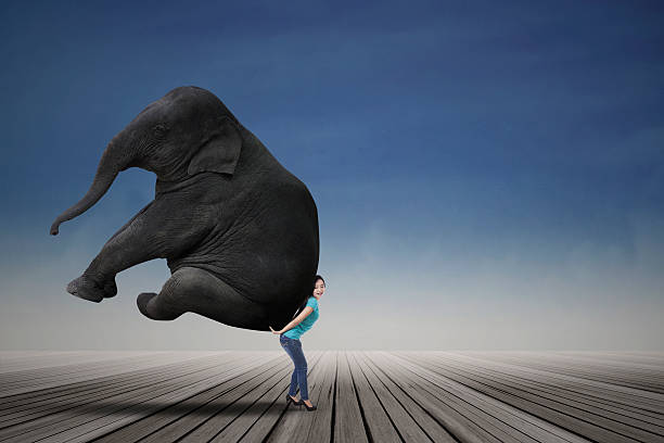 istock Woman carrying big elephant 520838910