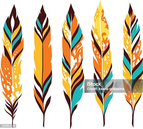 Bird Colored Feathers Set Stock Illustration - Download Image Now - Feather, Pheasant - Bird, Flying