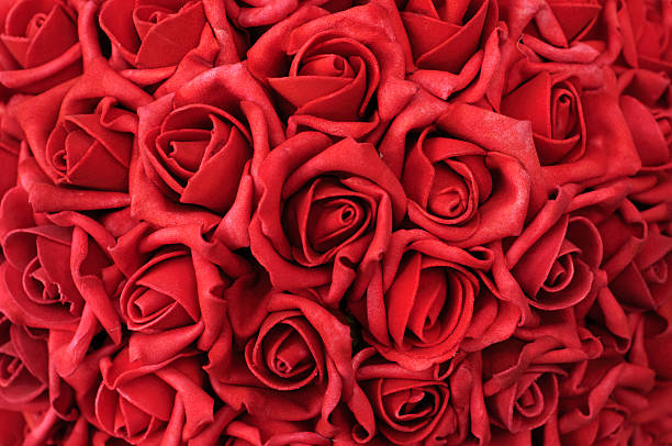 bed of roses (expressão inglesa) - valentines day red photography indoors imagens e fotografias de stock