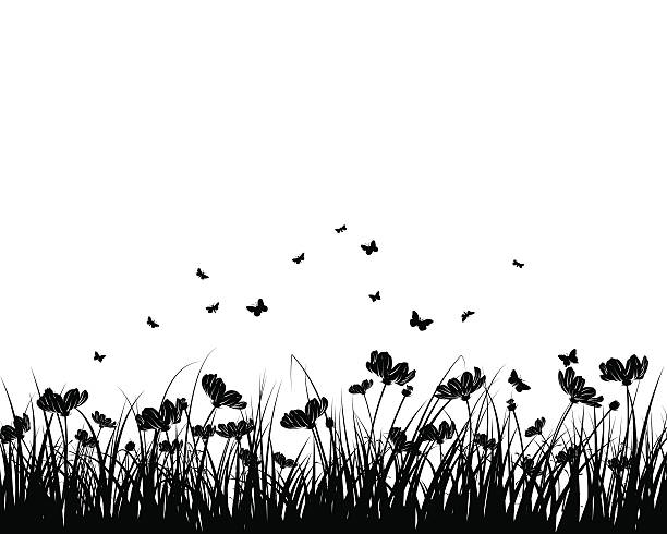 Summer meadow Springtime meadow with  butterflies. Vector illustration. grass vector meadow spring stock illustrations