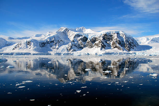 istock perfect antarctic reflection in the water 520844497