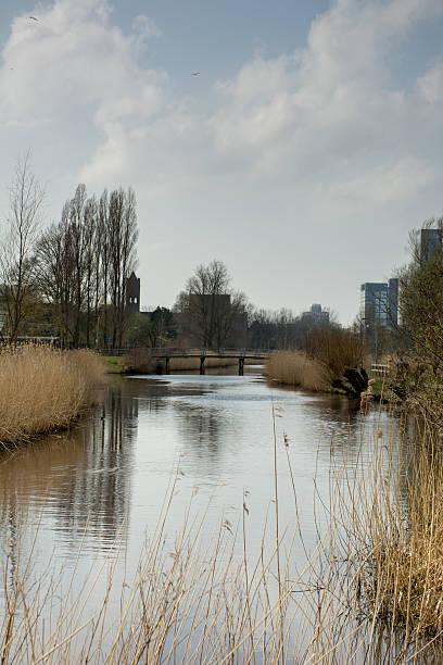 istock Nature in the city 520845478