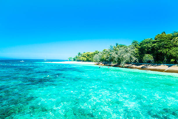 Great Barrier Reef, Queensland, Australia