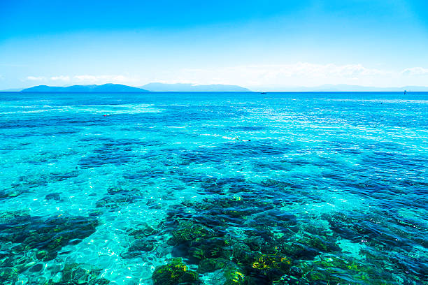 istock Great Barrier Reef, Queensland, Australia 520860485