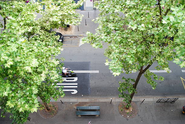 istock Empty street in Paris during daytime 520861151