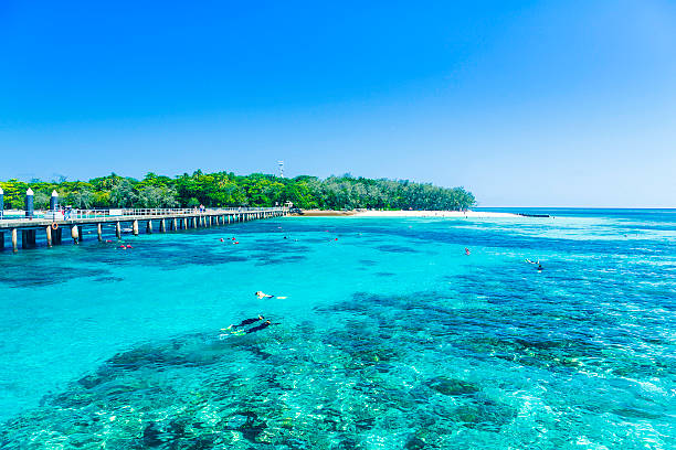 istock Great Barrier Reef, Queensland, Australia 520861309