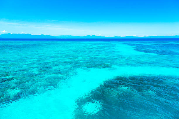 Great Barrier Reef, Queensland, Australia