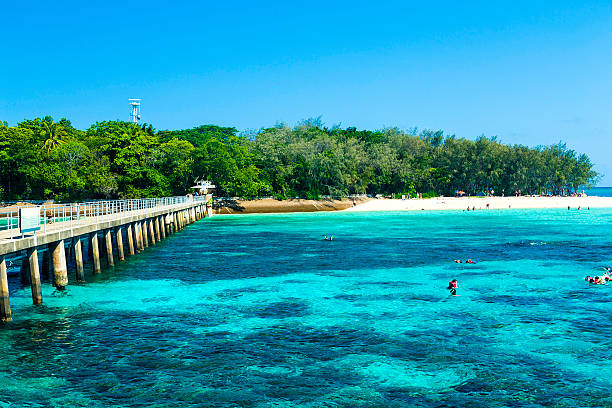 Great Barrier Reef, Queensland, Australia