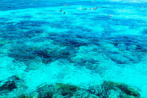 istock Great Barrier Reef, Queensland, Australia 520861689