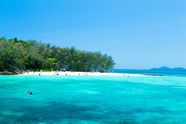 Great Barrier Reef, Queensland, Australia