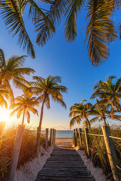 vista de passagem para a praia em sunrise - key west imagens e fotografias de stock