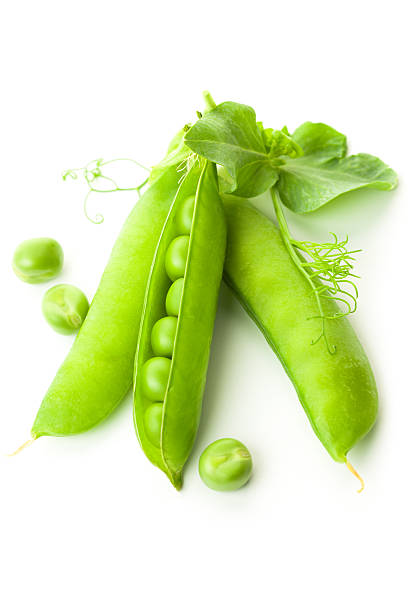 istock Three green  Pea's Pods Closed and Opened with leaves 520863395