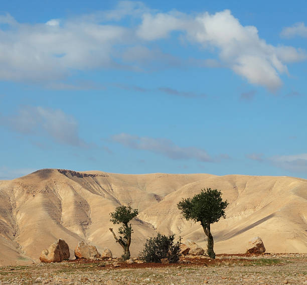 istock Easy shades from clouds on hills 520864547