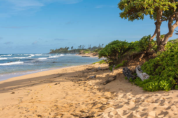istock The beach in Maui, Hawaii 520865489