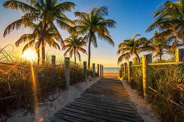 istock Passage to the beach at sunrise 520866699
