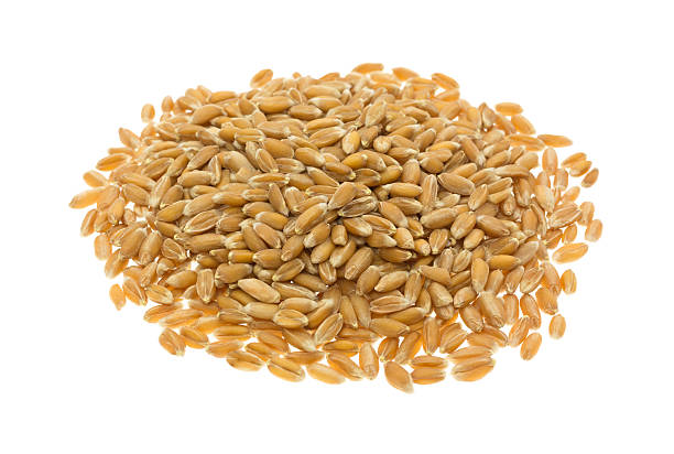 istock Portion of organic spelt isolated on a white background 520875168