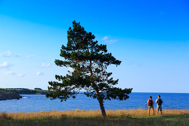 Young couple with backpacks, checkered shirt enjoying the beautiful view of nature and sea. Sky, water, hill, a tree and grass on background.