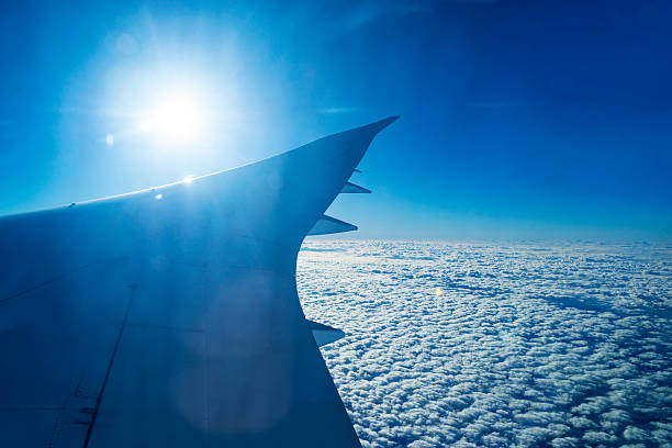 istock Looking out the window of a plane 520879402