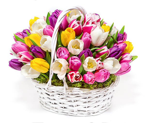 istock bouquet of tulips in a basket 520880970