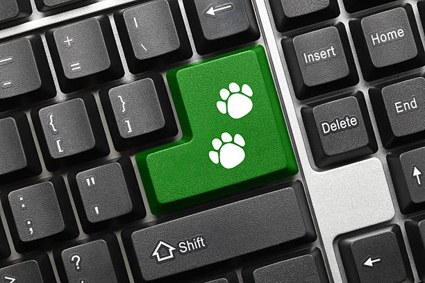 Conceptual keyboard - Green key with dog footprints symbol Close-up view on conceptual keyboard - Green key with dog footprints symbol refresh button on keyboard stock pictures, royalty-free photos & images