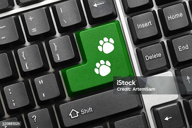 Conceptual Keyboard Green Key With Dog Footprints Symbol Stock Photo - Download Image Now