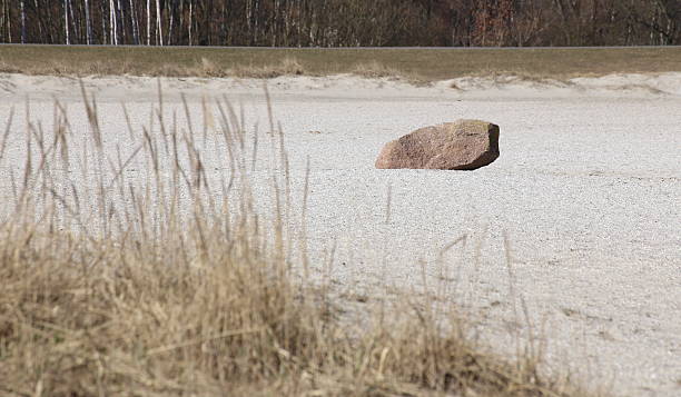 istock Stone on beach sand with blurry grass in the foreground 520882722