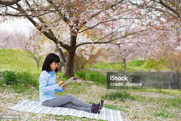 を使用する女性、デジタルタブレット楽しみながら、桜の花