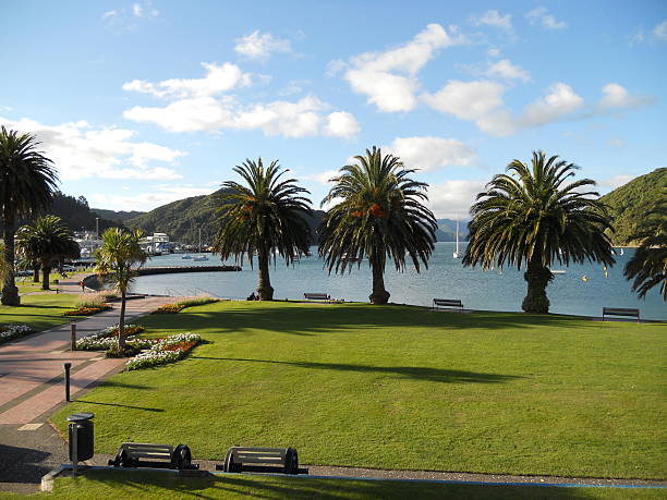 Palm Trees Along Waterfront Looking at waterfront in Picton, New Zealand picton new zealand stock pictures, royalty-free photos & images