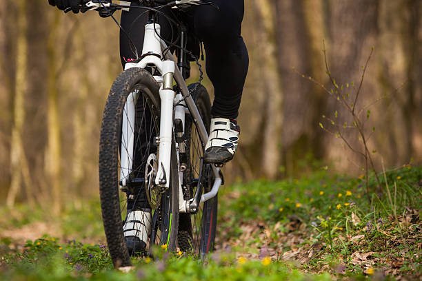 istock Mountain Bike cyclist riding single track 520887582