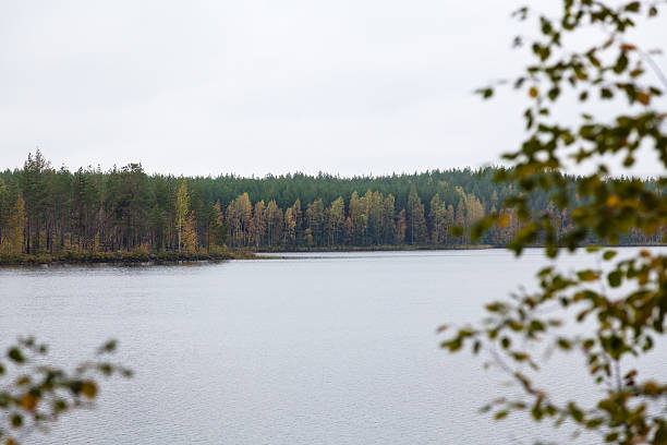 istock Landscape in autumn 520888179