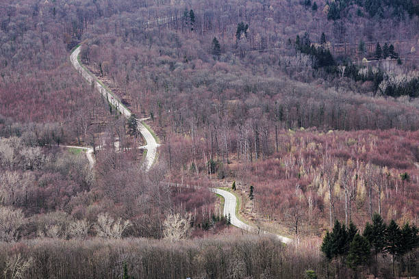 istock Winding road in bare forest in Baden-Wurttemberg, Germany 520888370