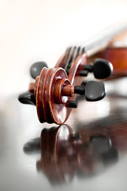 fingerboard violino - musical instrument violin sheet music music foto e immagini stock