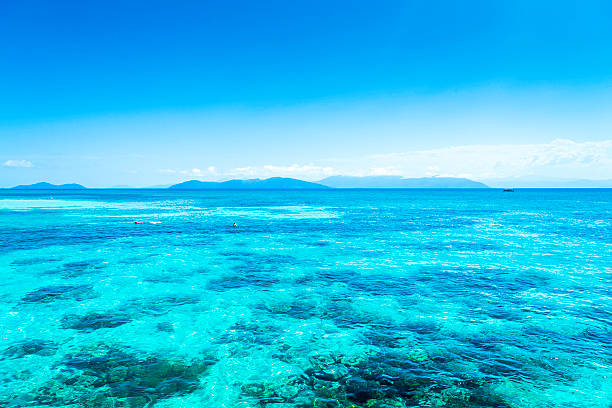 istock Great Barrier Reef, Queensland, Australia 520889161