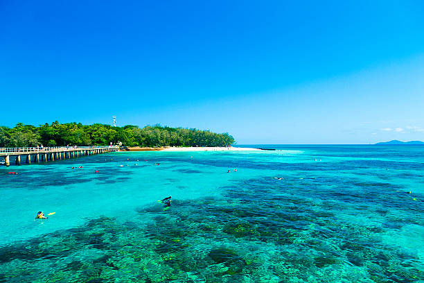 gran barrera de coral, queensland, australia - cairns fotografías e imágenes de stock