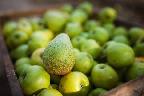 istock Green pear on apples background in box 520890215