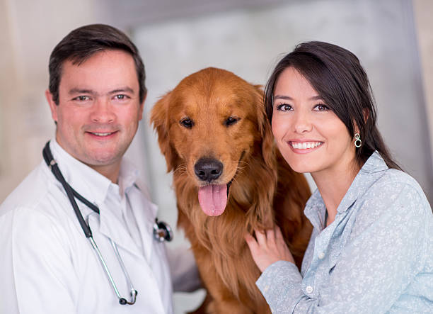 istock Puppy at the vet 520913313