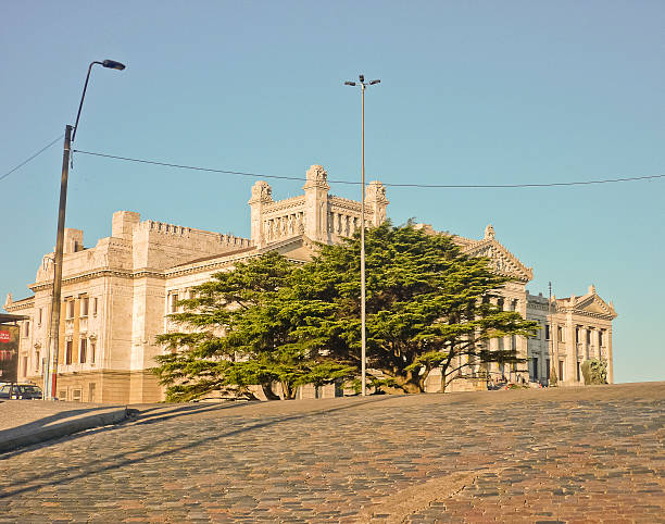 istock Statehouse of Uruguay 520914257
