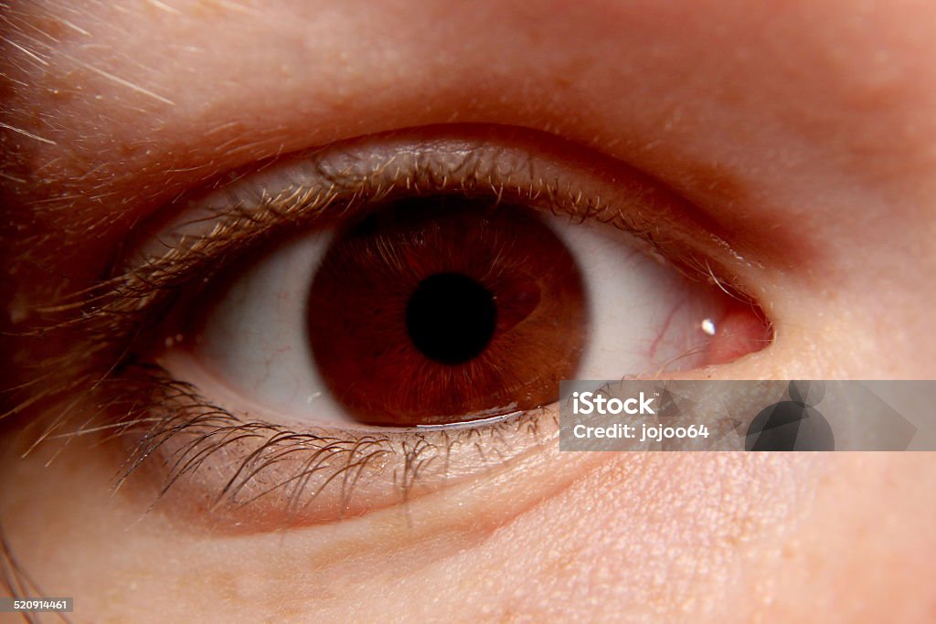 Narrow Brown Eye Close-Up Brown eye close-up with narrow pupil. Anticipation Stock Photo
